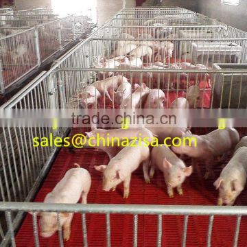 Hot sale! pig feeding farming stall equipment , pig cage ,pig farrowing cage