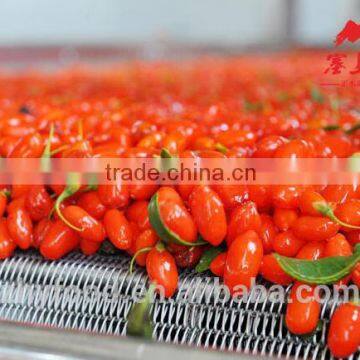 Organic Goji Berry photo-4