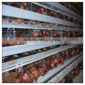 chicken house rabbit cage duck fence