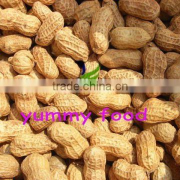 Lower price blanched peanut kernels round type