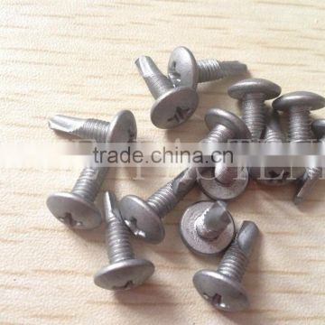 dacromet screws