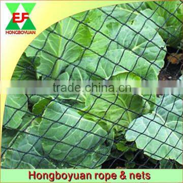 High Quality HDPE Plastic bird trapping net