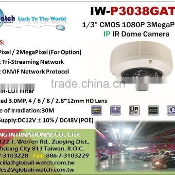 IW-P3038GAT HD 1080P IP Vandal Proof Waterproof Camera