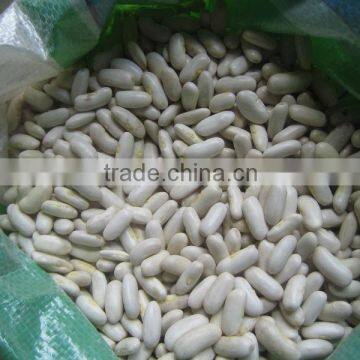 2014 Chinese White Kidney Bean With Cheap Price photo-2