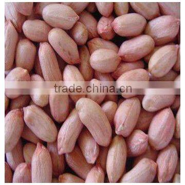 luhua blanched peanut price from China