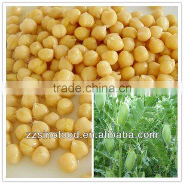 Best Canned Chick Peas with Good Taste Food Canned Tinplate