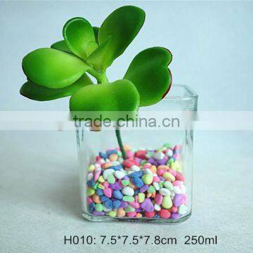 250ml Fashion Clear Glass Vase