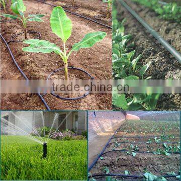 Amino Acid Powder With 40% Free Amino Acid photo-5