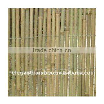 natural bamboo fence