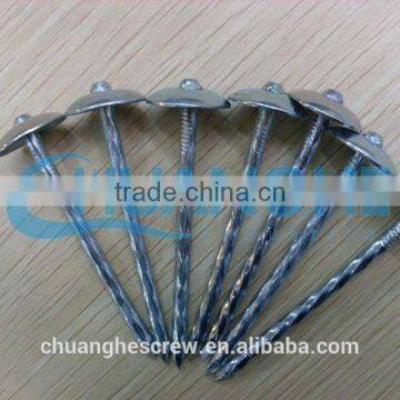Umbrella Roofing Nails Factory/fuyu Metal photo-3