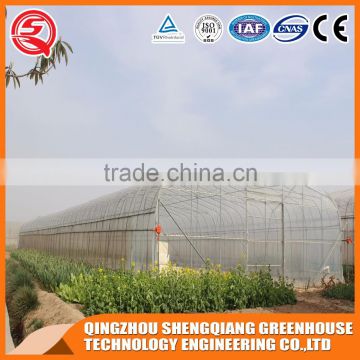 2017 China grow tent multi span plastic greenhouse for agriculture farming