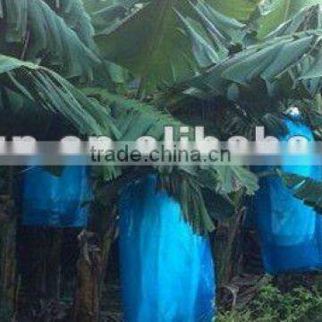 Non-Woven Fabric banana Covering