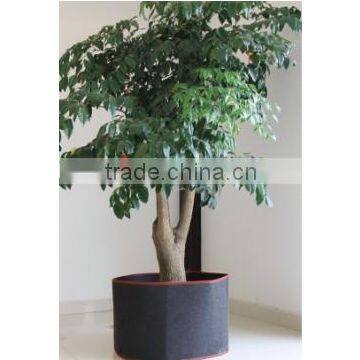 Non Woven Grow Bag for Plant,Indoor and Outdoor Planter Bags photo-2