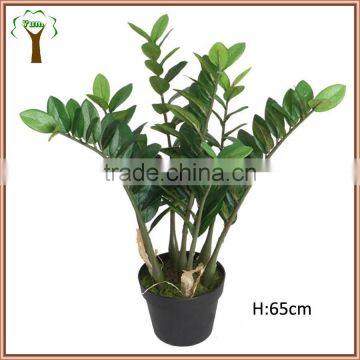 fake mini zamia plant for home decoration