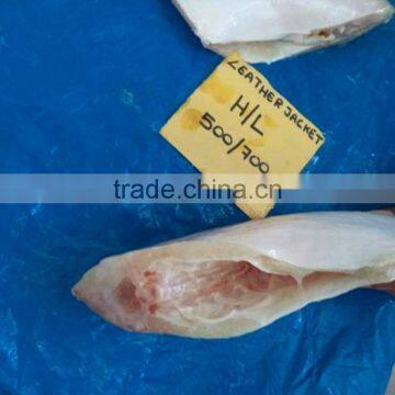 Frozen Leatherjacket Fish HGT photo-5