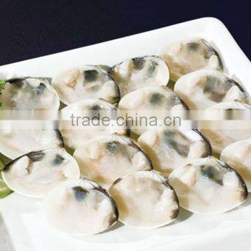 Frozen cooked white clam shell on