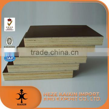 Building materials certified brown film faced plywood