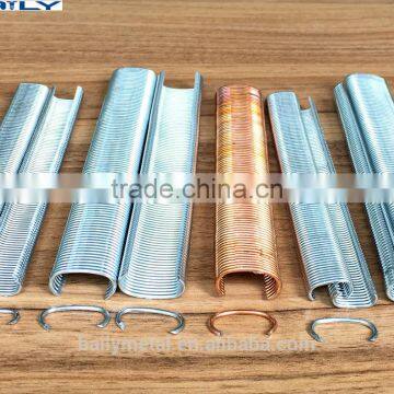 Factory Supply Hog Ring Staples c Ring Nails Galvanized Copper Coated Stainless Steel photo-4