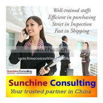 Supply professional Business Translation service