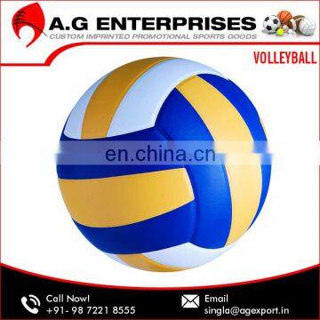 Official Laminated Volleyball