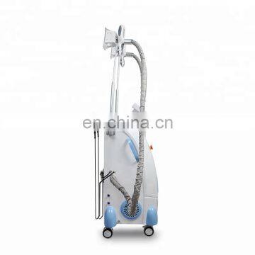 Hot Sale Fat Freeze Cryolipolysis Machine/skin Tightening/vacuum Cavitation photo-5