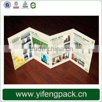 Guangzhou Factory Customized Folded Color Flyer Printing photo-2