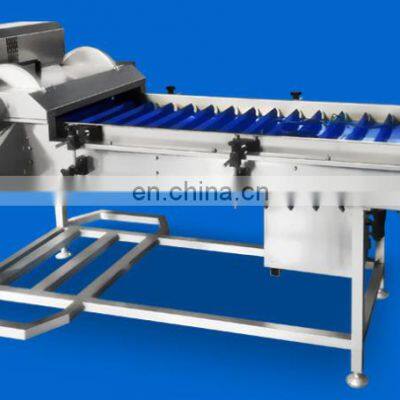 Automatic Double-head Root Removal Machine Scallion Garlic Cabbage Root Cutting Machine photo-4