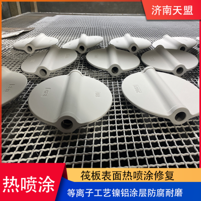 Surface Repair of Tianmeng Raft by Plasma Spraying, Nickel Aluminum Coating, Anti-corrosion and Wear-resistant Coating, Thermal Spraying Processing