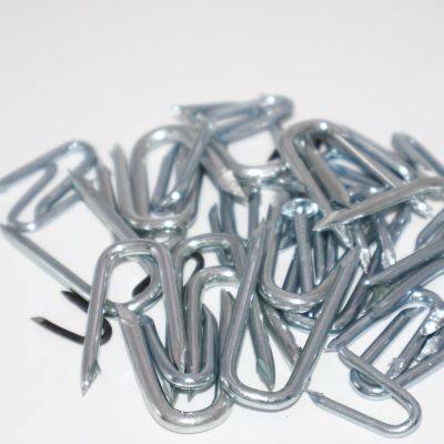 Cheap U Shape Nails China Factory