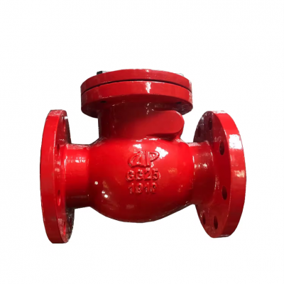 DIN BS Flanged End Metal Seat Check Valve Pn16 2-24 Inch Stop Valve for Water Oil Gas Appliance photo-2
