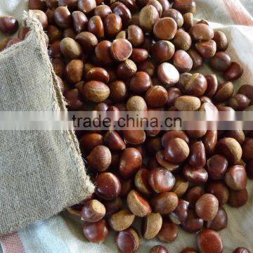 Fresh Chinese Dandong Chestnut photo-3