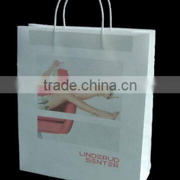 Paper shopping bag