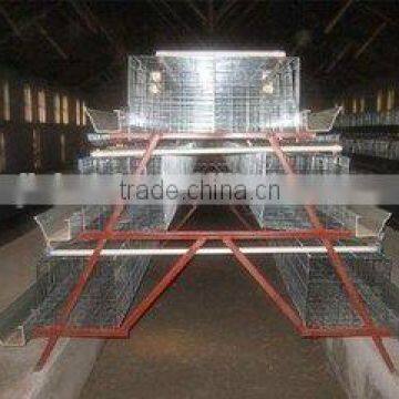 3 tiers A type automatic chicken cage for Africa market