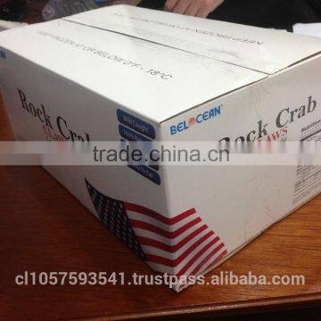 EDIBLE CRAB, RED STONE CRAB photo-3