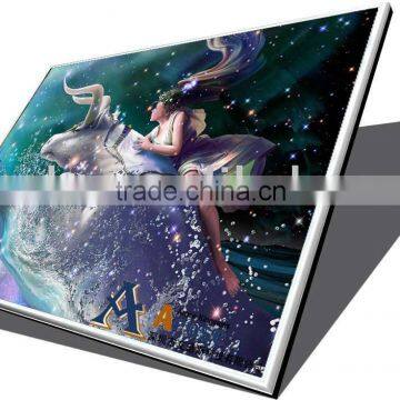 Brand NEW A+ B101AW01 V.2 1024x 576 WSVGA Matte Laptop LED Panel