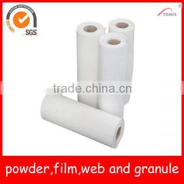 PES/copolyester hotmelt adhesive membrane