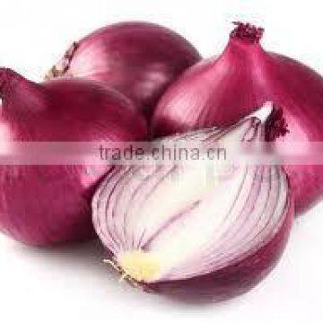 Indian Fresh Red Onion