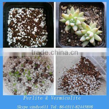 horticultural perlite and vemiculite mixed soil for plants growing