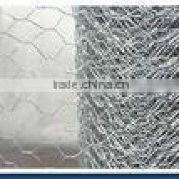 Galvanized Hexagonal Wire Netting