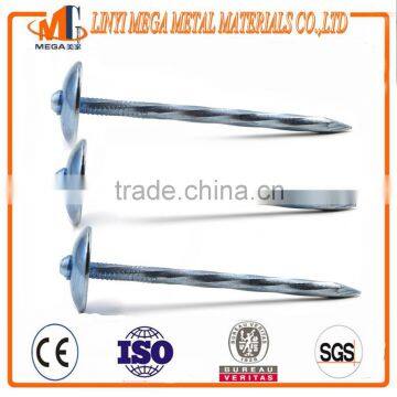 China high quality umbrella roofing nails