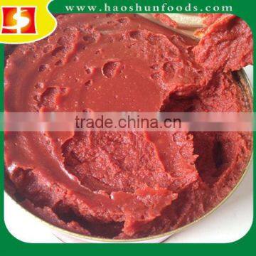 Canned Tomato Puree Canned Tomato Paste photo-5