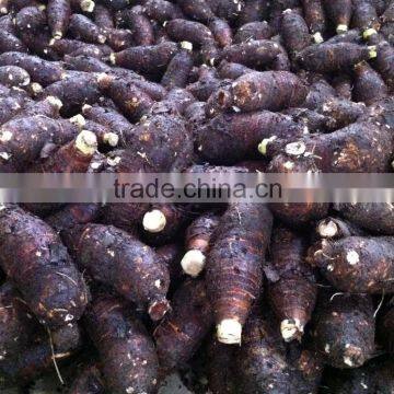 1.75kg Fresh Taro for Sale at Best Market Price