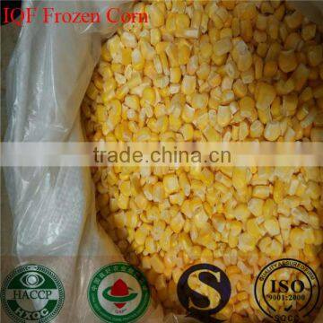 Best price Frozen Vegetables iqf sweet corn (FDA,HACCP,HALAL,BRC)