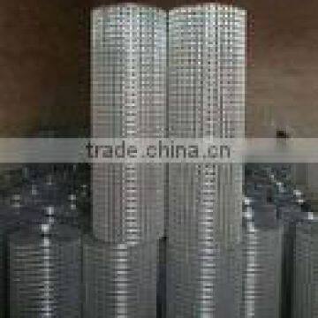 electro galvanized welded wire netting