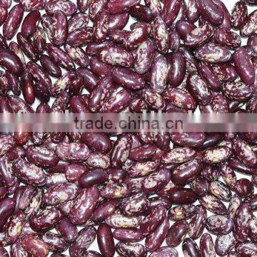 Purple Speckled Kindney Beans 220-240