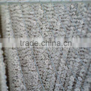 100Ton/day Slaughterhouse Waste Water Treatment System photo-4