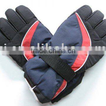 ski glove & gloves