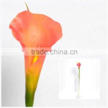 Calla Lily photography art, Orange