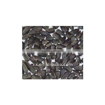 black oil sunflower seed prices