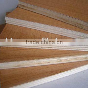 eucalyptus core plywood from china